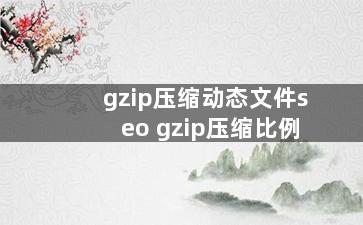 gzip压缩动态文件seo gzip压缩比例